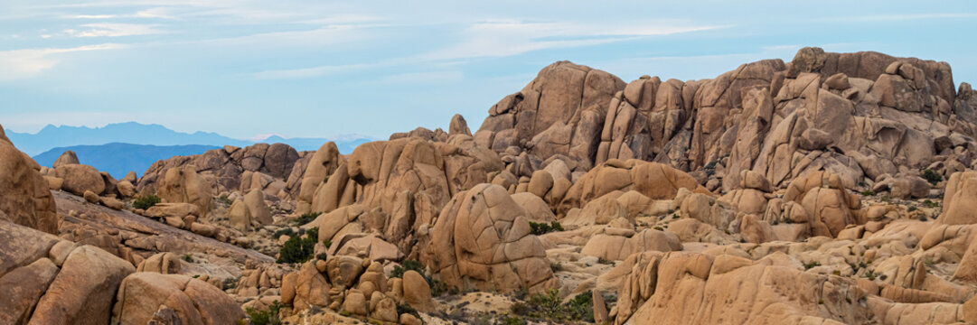 Panoramic landscape views in the Joshua Tree National Park desert during day time with rocks, trees, flat, boulder landscape. Tourist area, popular, camping, camp, road trip, California view.