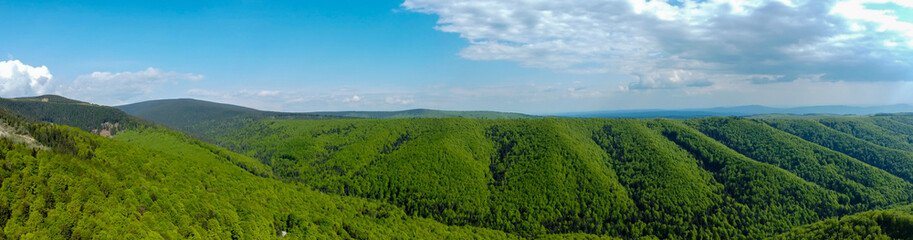Panoramic landscape with green forested hills