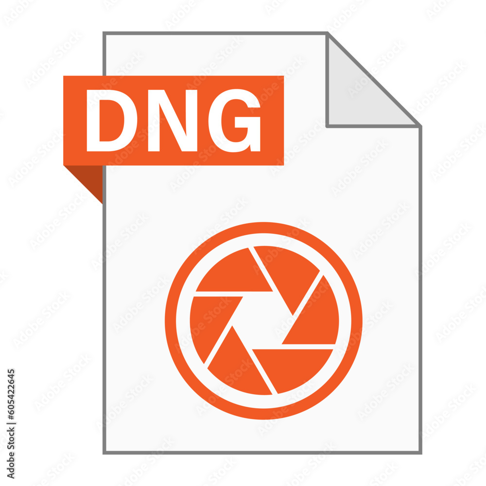 Poster modern flat design of dng file icon for web