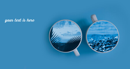 sea cup on colored background