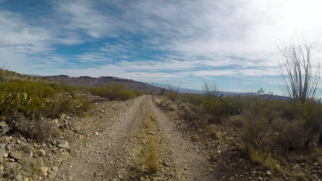 Curving Dirt Road In South Texas in Big Bend National Park