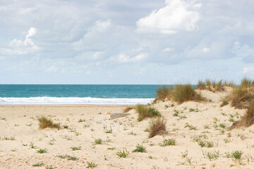 Sand dunes at Camposoto beach on the Atlantic coast with the ocean in the background; San Fernando; Cádiz; Andalusia; Spain.