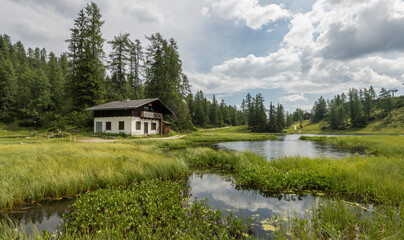 Fototapeta na wymiar Beautiful alpine summer view with an Austrian mountain hut on the shores of a smal lake in the Alps. Surrounded by pine trees and waterplants. water in the foreground. Travel, hike, hiking, trekking
