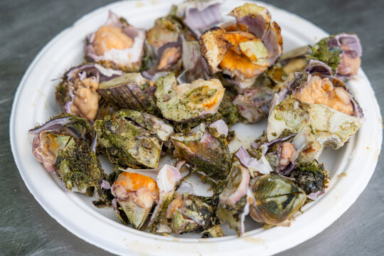 Fresh briny Goose Barnacles harvest seafood