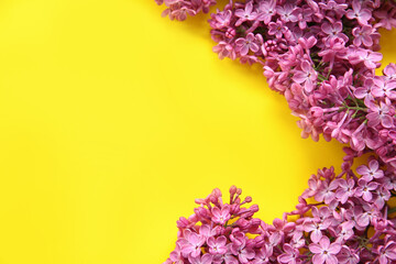 Beautiful blooming lilac flowers on yellow background