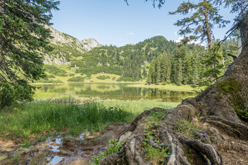Beautiful summer view of the Sackwiesensee in Styria ( Austria) with tree roots in the foreground. summer, day, nature, landscape, amazing, beautiful, stunning, hike, hiking, wanderlust, tourism
