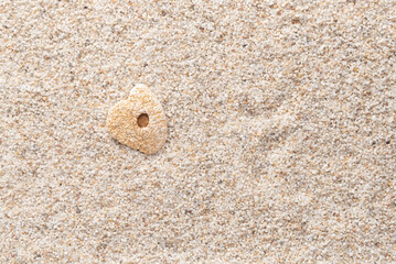 Heart shaped shell or rock in the sand.  Textured piece of a shell in the shape of a heart in the sand.