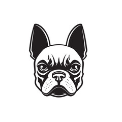 french bulldog head