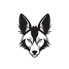 coyote illustration - obrazy, fototapety, plakaty