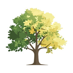 Fototapeta premium Green leaves tree natural