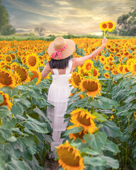 Beautiful woman standing in a yellow blooming sunflowers field. Back view and summertime season.