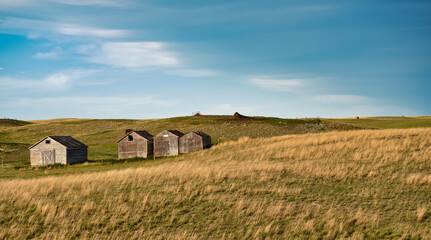 Obraz premium panoramic image of Wooden farm buildings amid the fertile farmland of Saskatchewan Canada