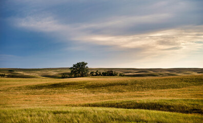 Rolling hills and fertile farmland makes this area the bread basket of Canada in Saskatchewan Canada