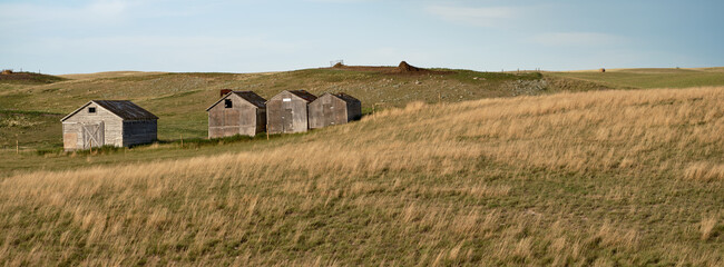 panoramic image of Wooden farm buildings amid the fertile farmland of Saskatchewan Canada