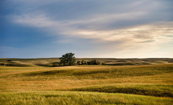Rolling hills and fertile farmland makes this area the bread basket of Canada in Saskatchewan Canada