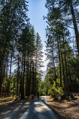 Mirror Lake trail in Yosemite National Park, CA, USA