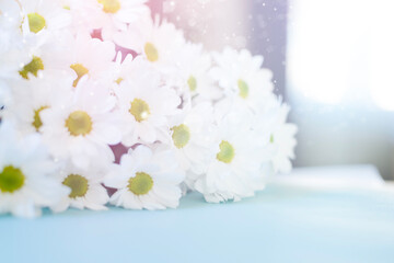 Bouquet of white flowers on a blue background with space for a copy, sunlight. Beautiful background with white daisies, sun rays, space for copy. Mother's day card, birthday card.
