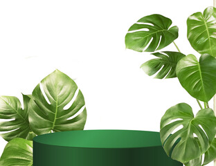 Podium for advertising cosmetic products and any products, monstera, white background. Green leaves of a tropical plant on a white background with a green pedestal, a banner for advertising goods