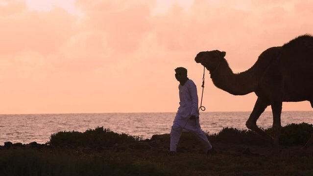 Egyptian male camel herder at sunrise Red Sea 