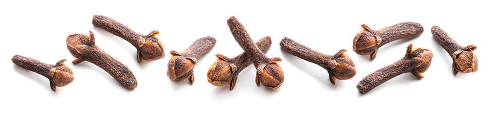Dry cloves isolated on white background. Clove spice macro set collection.