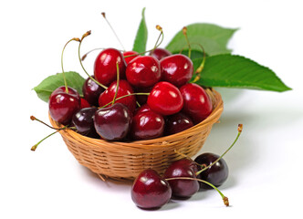 Süßkirschen, Vogelkirschen, Prunus avium