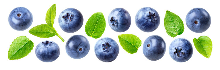 Set of blueberries and blueberry leaves isolated on white background. Closeup group of fresh ripe blueberries with leaves.