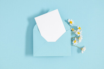 Flat lay, top view of open blue envelope with paper sheet and chamomile flowers on isolated on blue background blank space