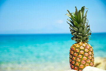 A pineapple in the water by the sea in nature weekend travel