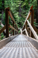 The walk way inside of the Muir Woods National Monument