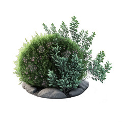 Bush 3d illustration art on transparent background. Generative Ai.