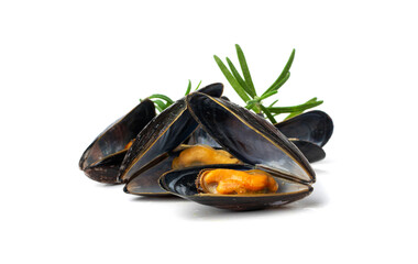 Mussels Pile Isolated, Unshelled Clams, Peeled Mussels, Open Shellfish, Seafood on White Background
