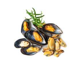 Mussels Pile Isolated, Unshelled Clams, Peeled Mussels, Open Shellfish, Seafood on White Background