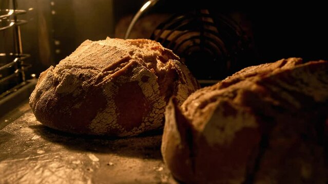 Homemade bread baking in oven. Organic fresh bread. Timelapse. Loaf is raised and baked. Baker bakes food at bakery. Food concept. Close-up in 4K, UHD
