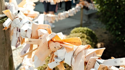 Omikuji, Japan, Traditional lucky paper from japanese temples.