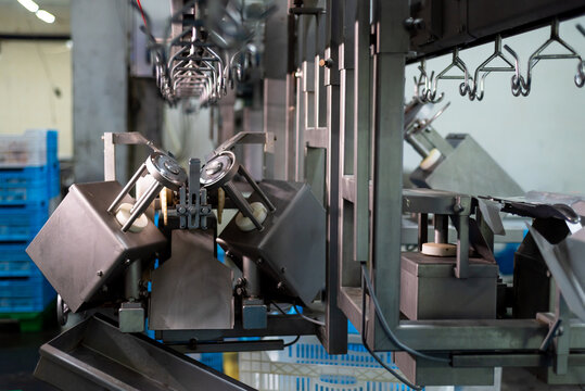 chicken farm industrial line equipment