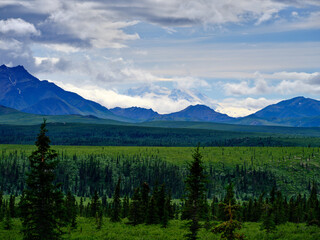 Obraz premium Cloud and snow cover Mount Denali stands above all the other mountains as seen across the valley inside Denali National Park Alaska