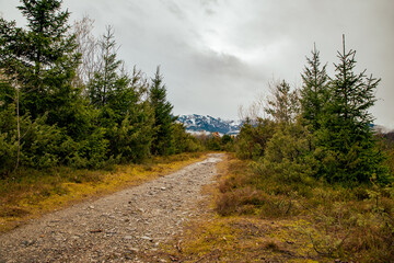 Obraz premium Isar, Isartal, Bayern, Landschaft, Natur, Herbst, Regen