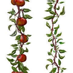 Apple tree branches ornament seamless vertical Border