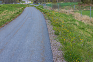 Summer landscape view of side road for bicycles and walkers near highway. Sweden. Europe. 