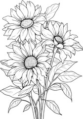 Sunflower Line Art