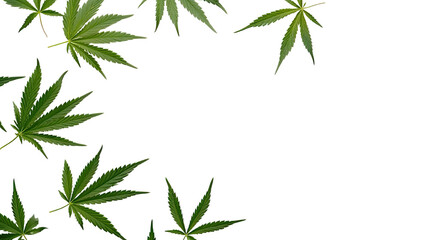 hemp leaves forming a corner frame as a frame border, isolated with copyspace - obrazy, fototapety, plakaty
