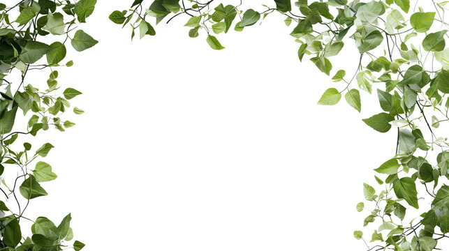 leafy garlands as a frame border, isolated with copyspace