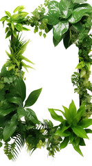 lush plants as a frame border, isolated with copyspace