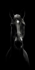 AI-image closeup portrait of Canadian horse background black
