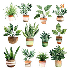 Cute Watercolor Cactus Succulents Clip Art on Isolated Background 