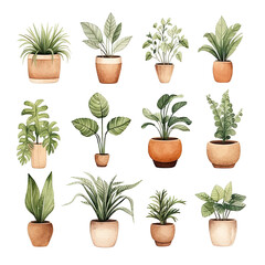 Cute Watercolor Cactus Succulents Clip Art on Isolated Background 