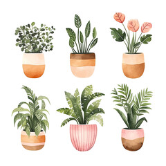 Cute Watercolor Cactus Succulents Clip Art on Isolated Background 
