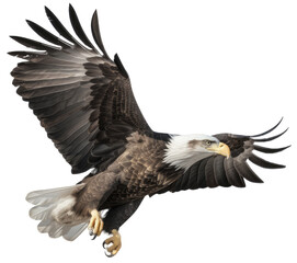 Obraz premium flying american bald eagle isolated on a white background, generative AI animal