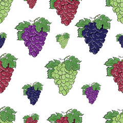 Vector Hand Drawn Colorful Grapes Seamless Pattern Isolated on White Background. Vintage Style Sweet Fruit Illustration. Different colors grapes texture for fabric textile prints or website uses.