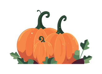 Healthy eating Fresh, ripe vegetable pumpkins
